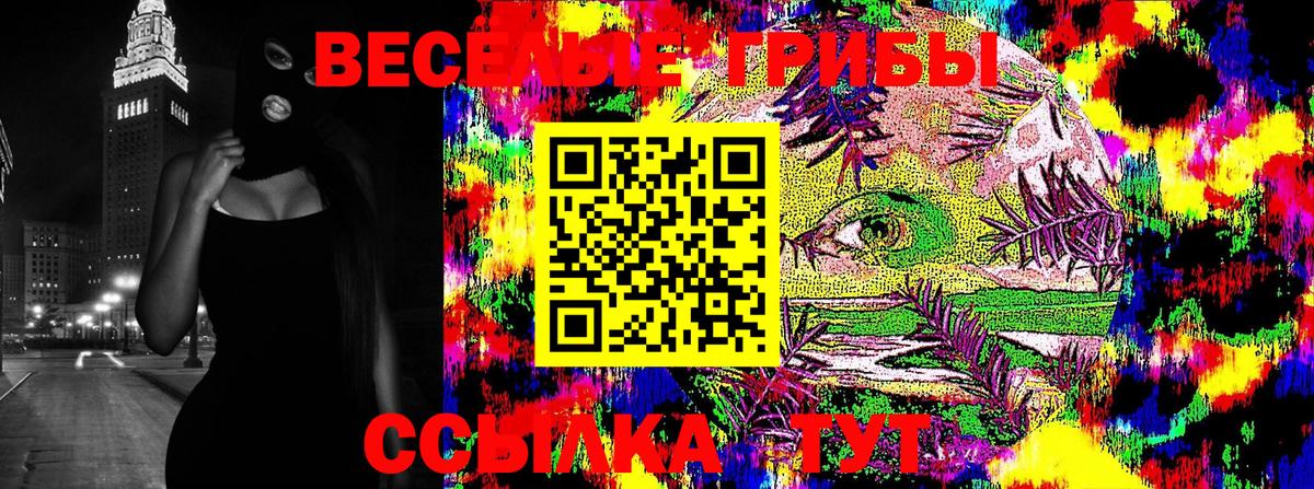 Галлюциногенные грибы Psilocybe  Галлюциногенные грибы мицелий  Королёв  Вход с VPN 